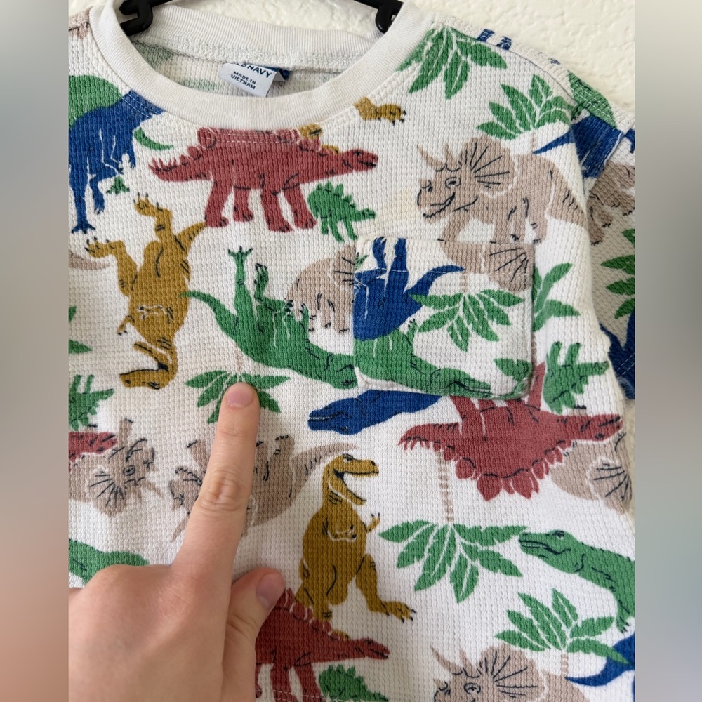 Matching Dinosaur Set - Picture 5 of 11